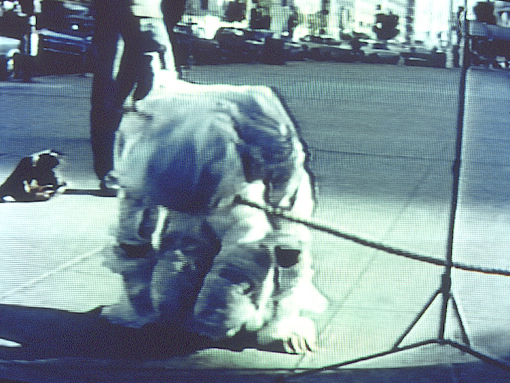 Street Performance with Ramon