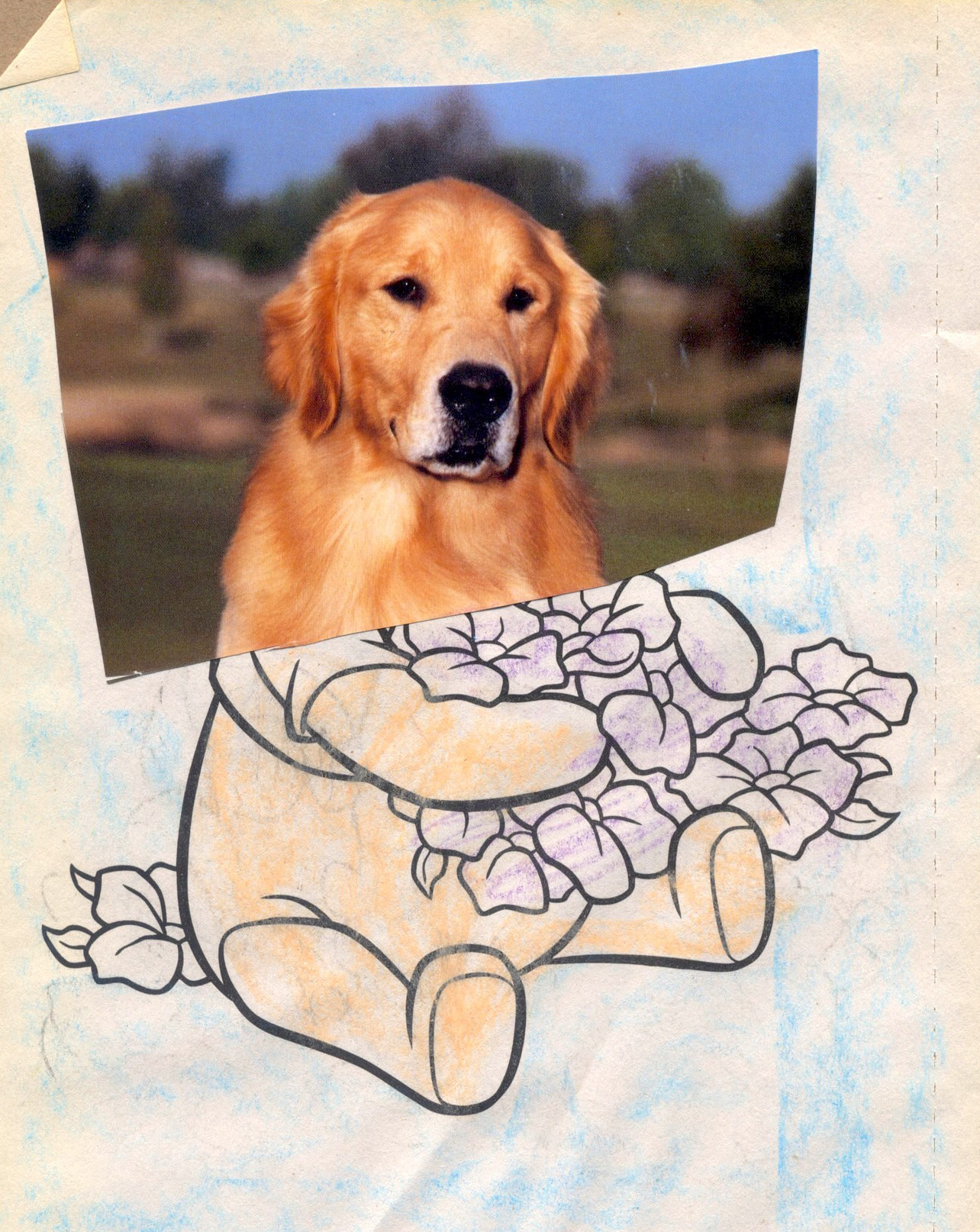 Dog Pooh